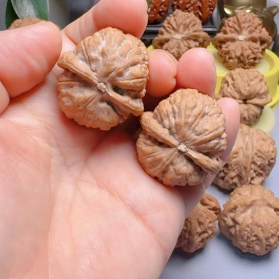 金钱豹骨质好文玩核桃