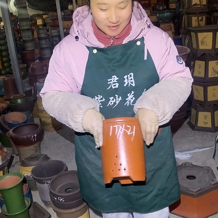 紫砂花盆紫砂花盆盆栽花卉苗木种植