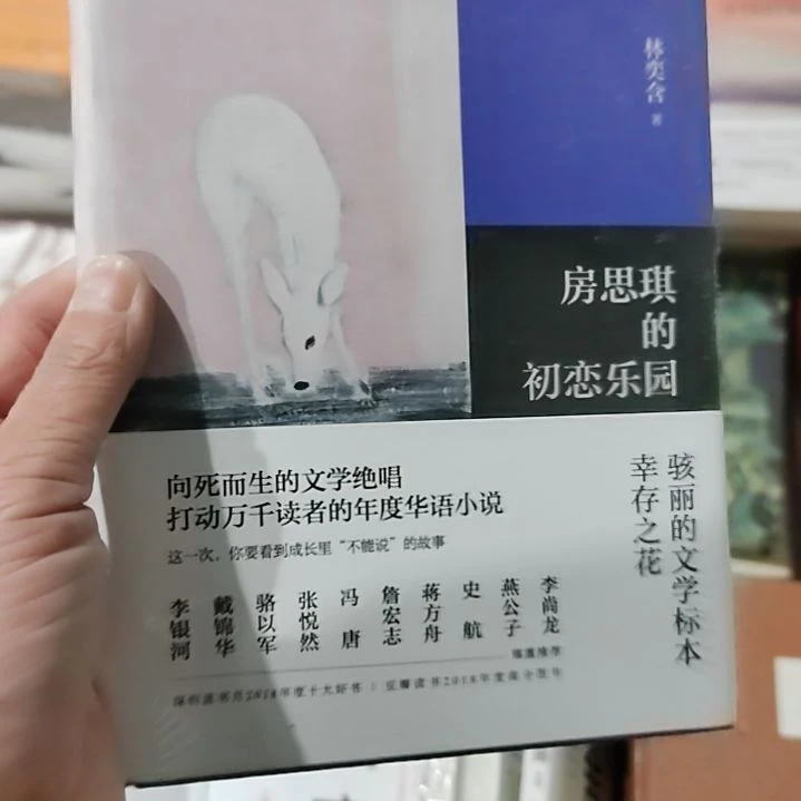 黄思琪的初恋乐园