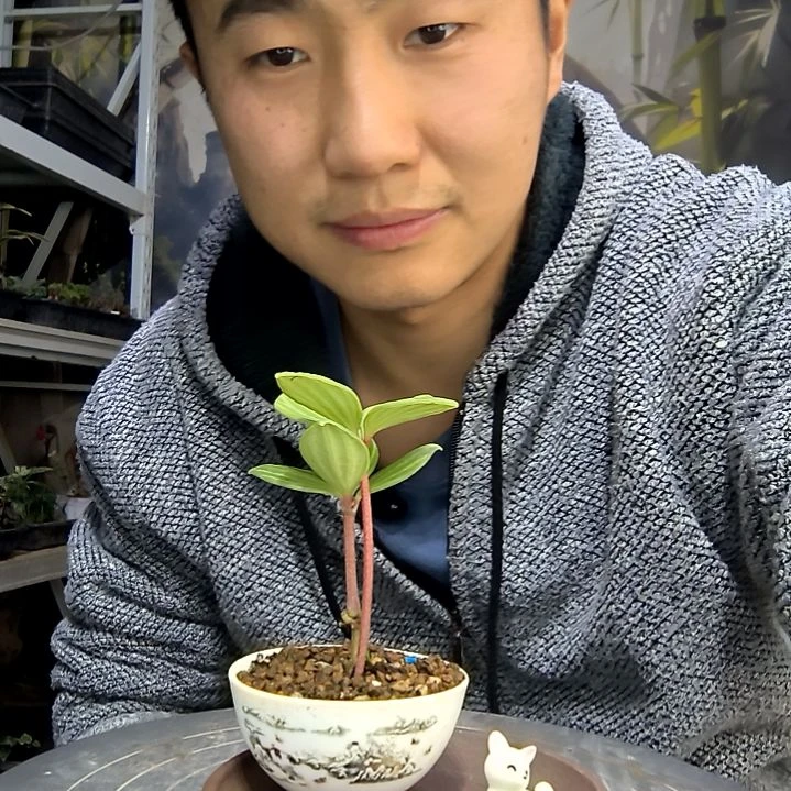 丫***～中青园艺一物一拍花69