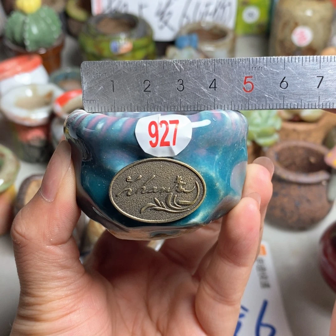 拍5送一个小礼物