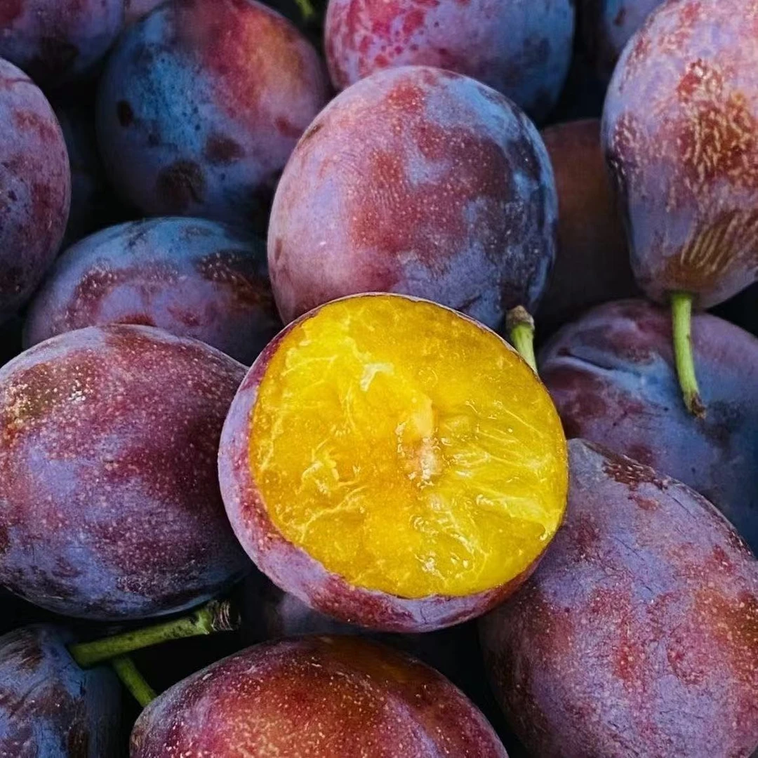 【顺丰包邮】蓝蜜西梅彩箱新鲜饱满多汁酸甜脆爽应季水果