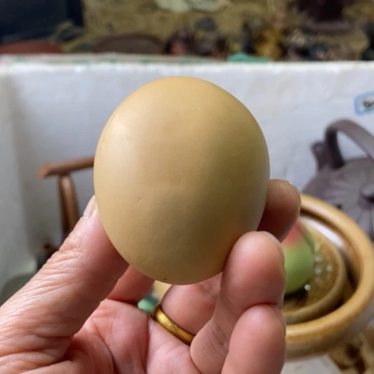 紫砂茶壶宜兴紫砂壶
