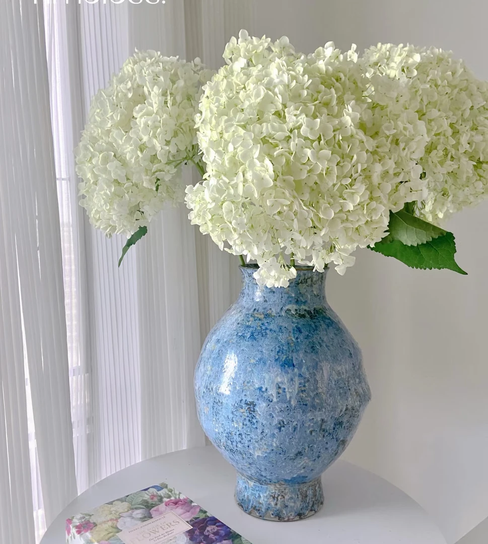 氧花季 安娜白绣球 一单包邮 两单升级快递