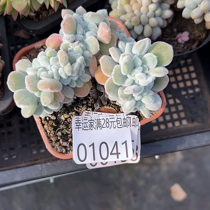 幸运的是我还没遇到过