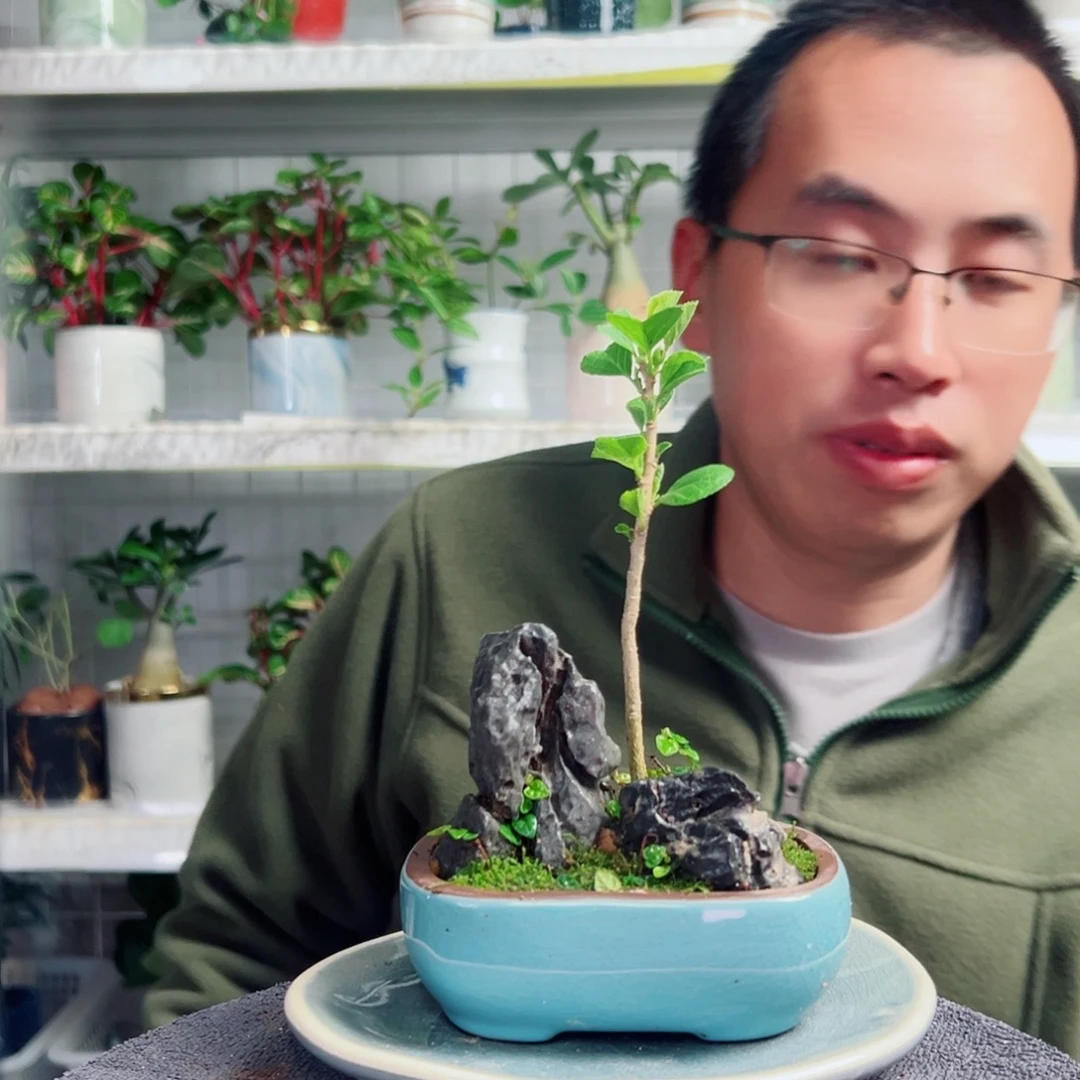 嘚***子无花朵21