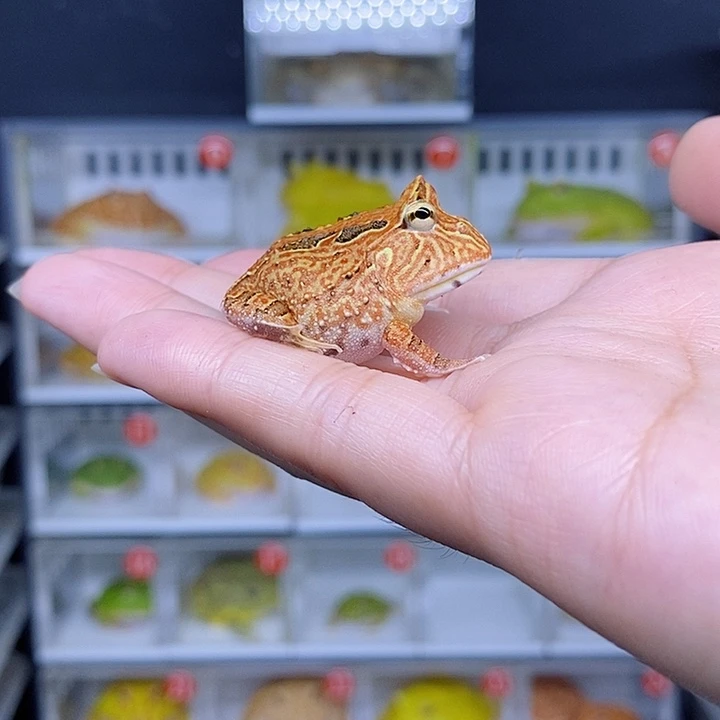 特价秒杀现货特价