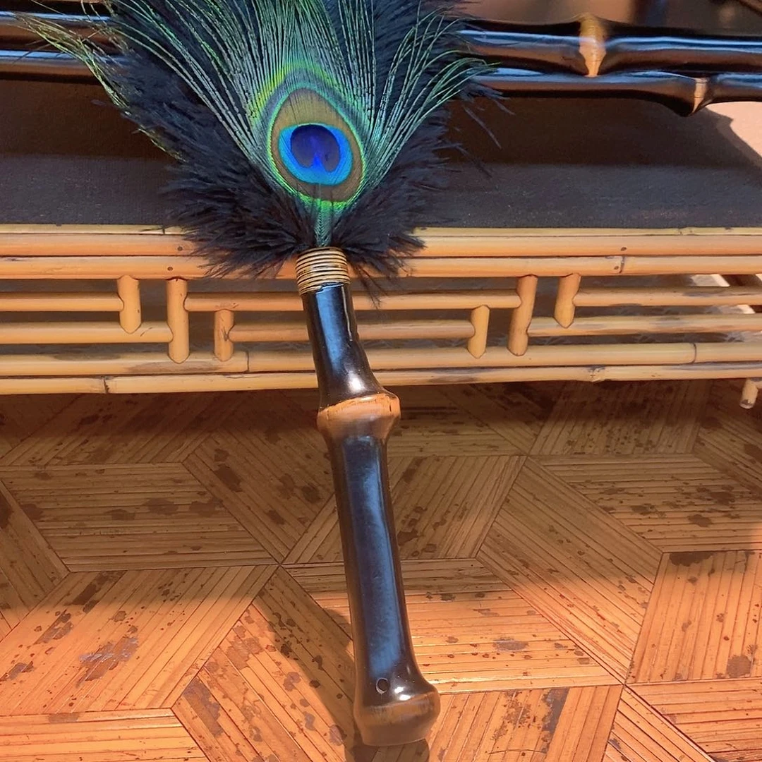 筇竹羽毛羽毛羽毛羽毛