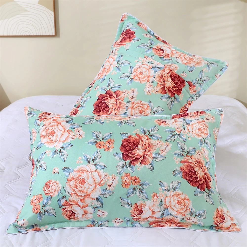 生姜暖绒枕套一对装48*74磨毛加大成人家用枕头套学生宿舍枕皮