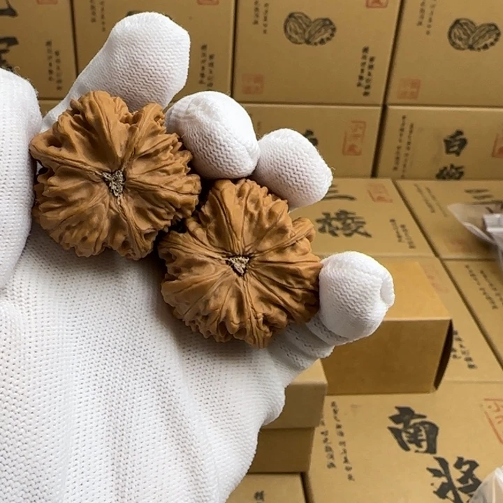 文玩核桃吊坠?***?简单包装玉龙三棱