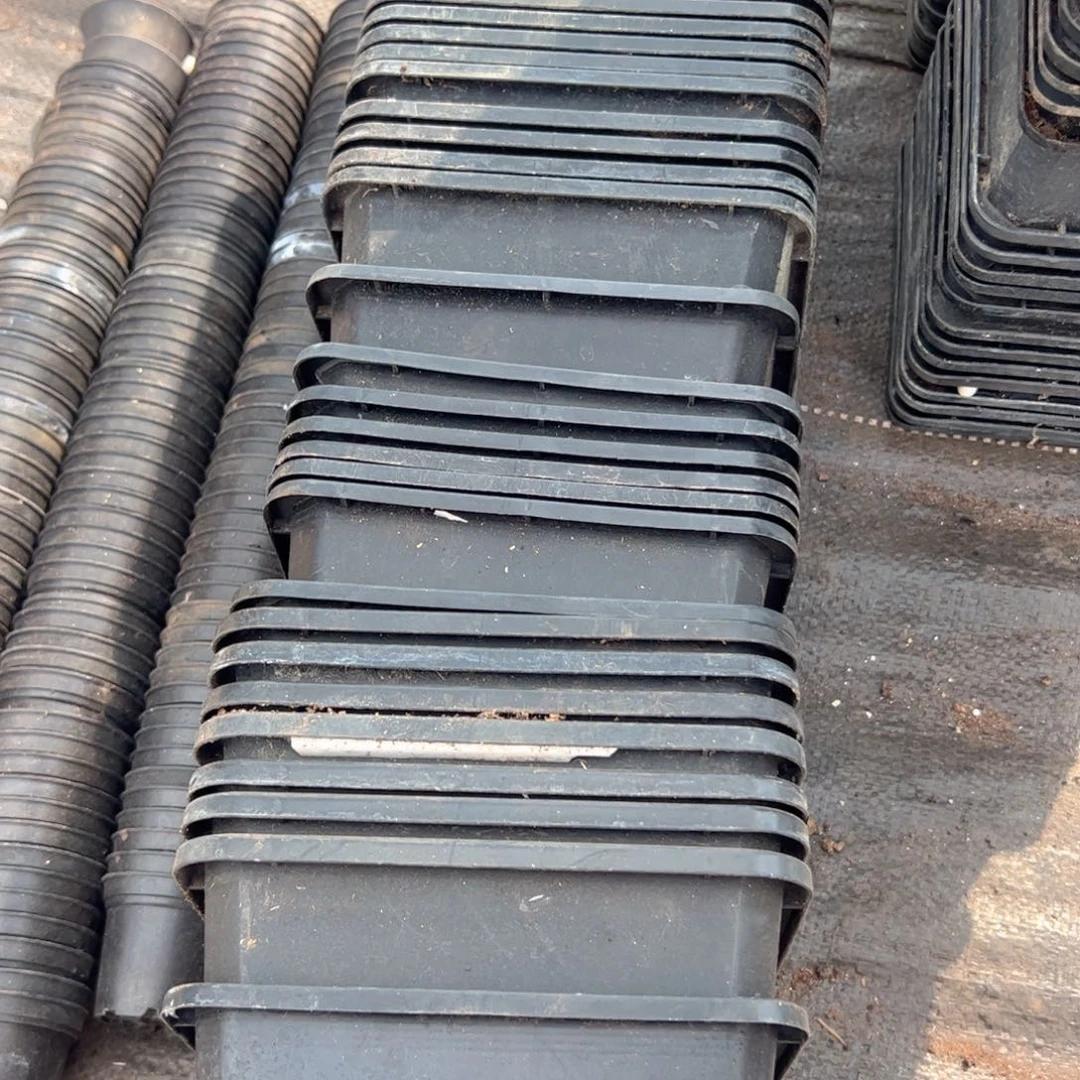 黑方160盆15.5口径11高 15个