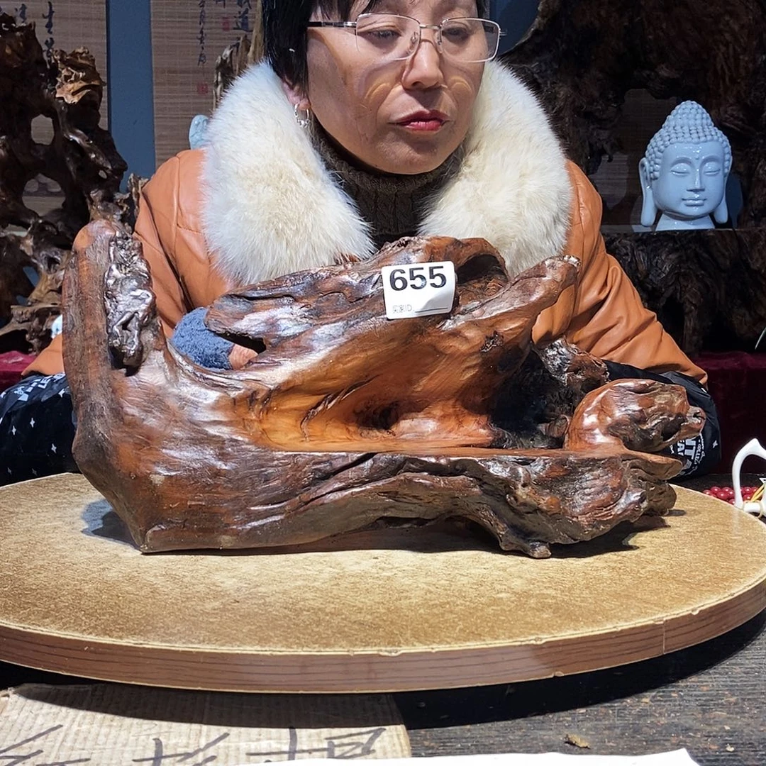 龙***食655株木随行的小根艺