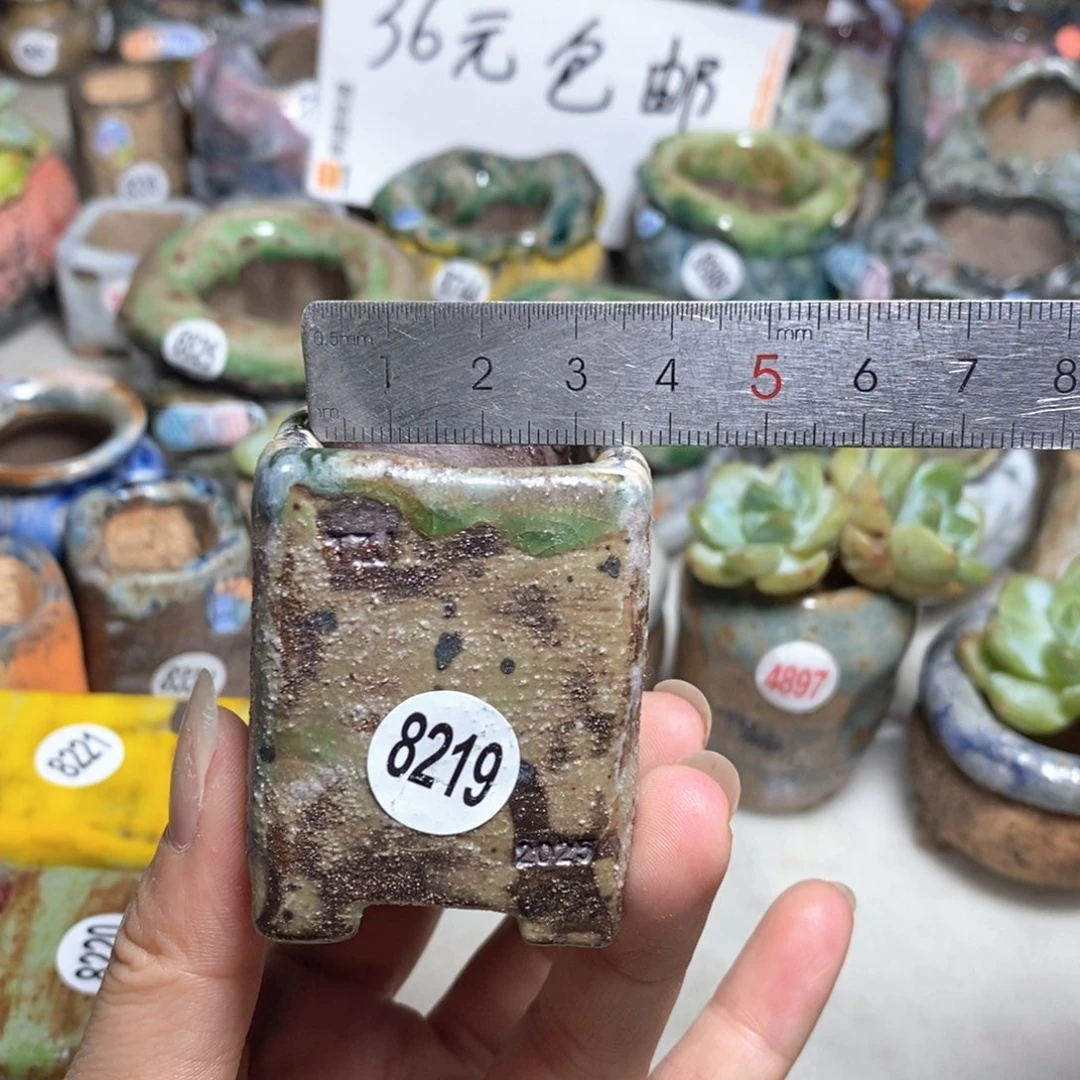 拍3送一个小礼物