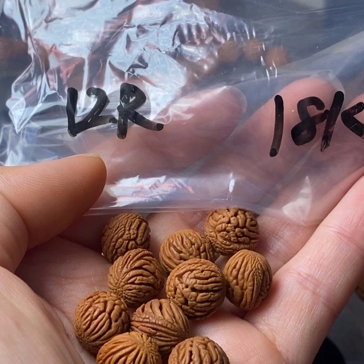 手串文玩核桃秦岭野生龙纹桃核12