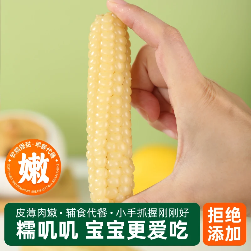 【低脂】傣家西双版纳拇指小玉米香糯婴幼儿早餐新鲜零食宝宝辅食