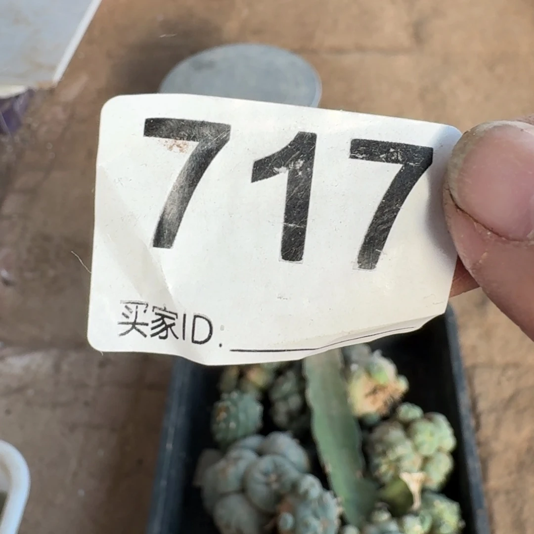 【闪购商品】云**清717一筐鲜