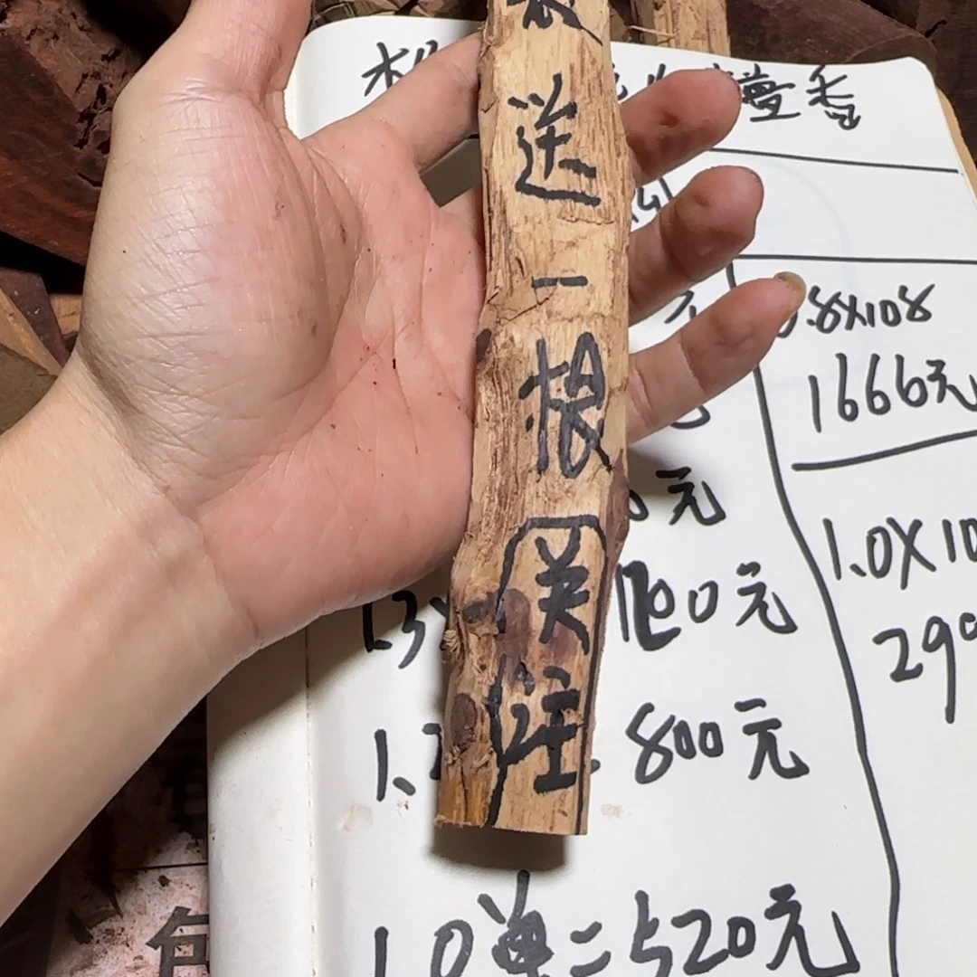 大果紫檀（缅甸花梨）