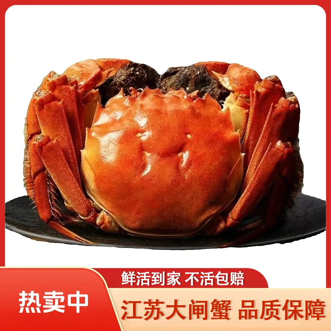 【活蟹】江苏大闸蟹公母混搭公蟹5两母蟹4两共10只顺丰京东死蟹包赔