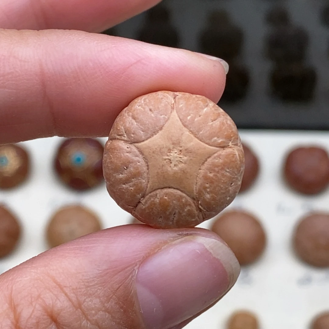 保***.凤眼菩提吊坠五星