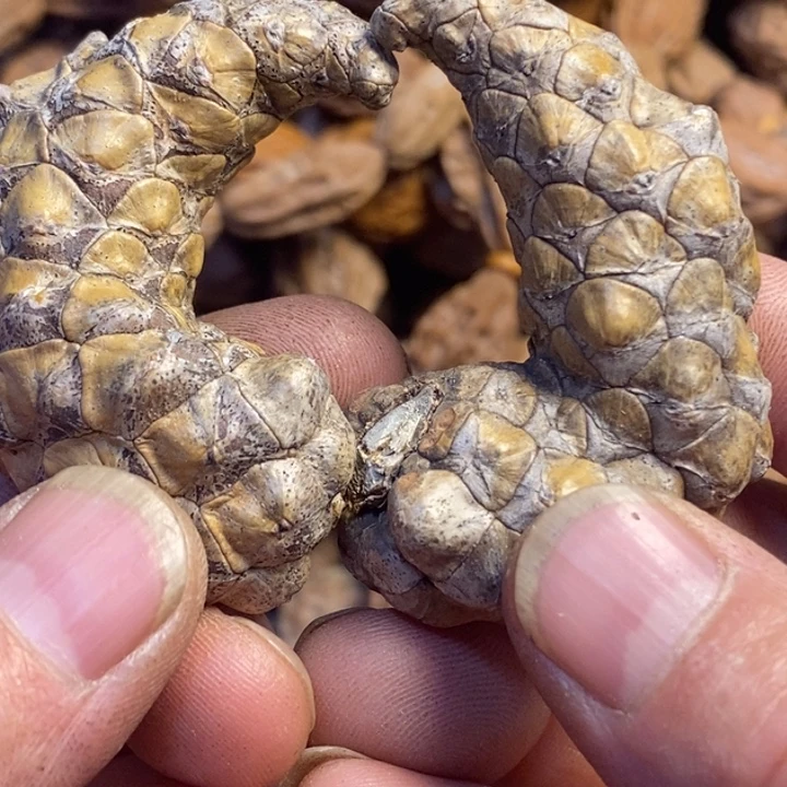 吊坠文玩核桃东北特产118