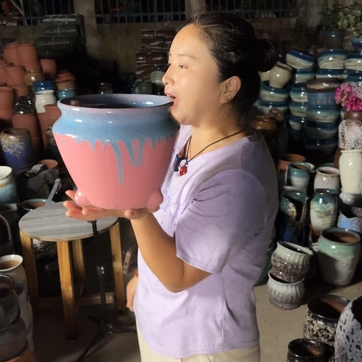 口20高20瑕疵一个盆子。