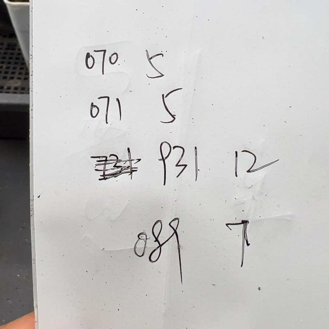 哈****瓜2.24好看的多肉