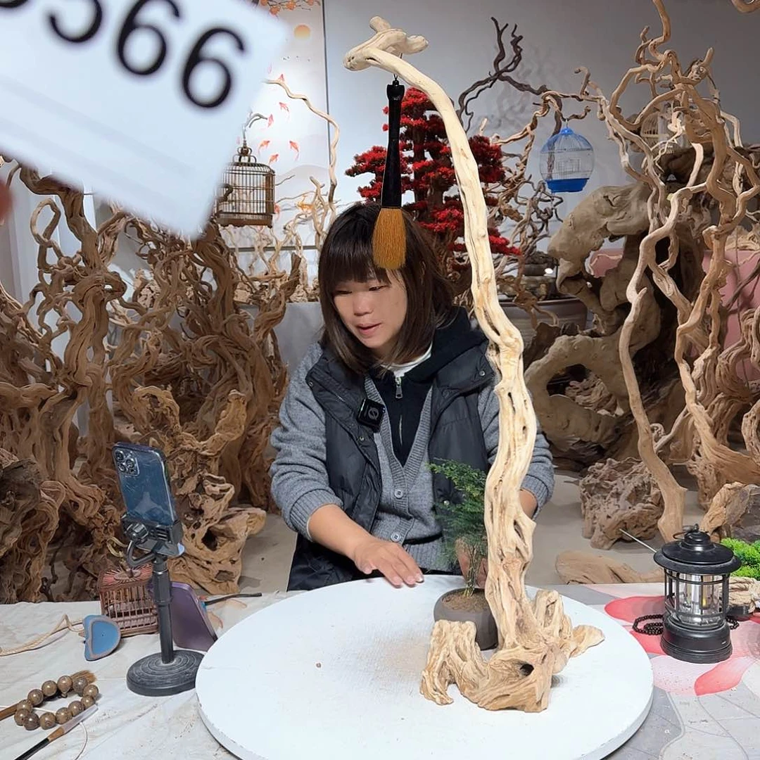 风车木（黑檀木）俗***