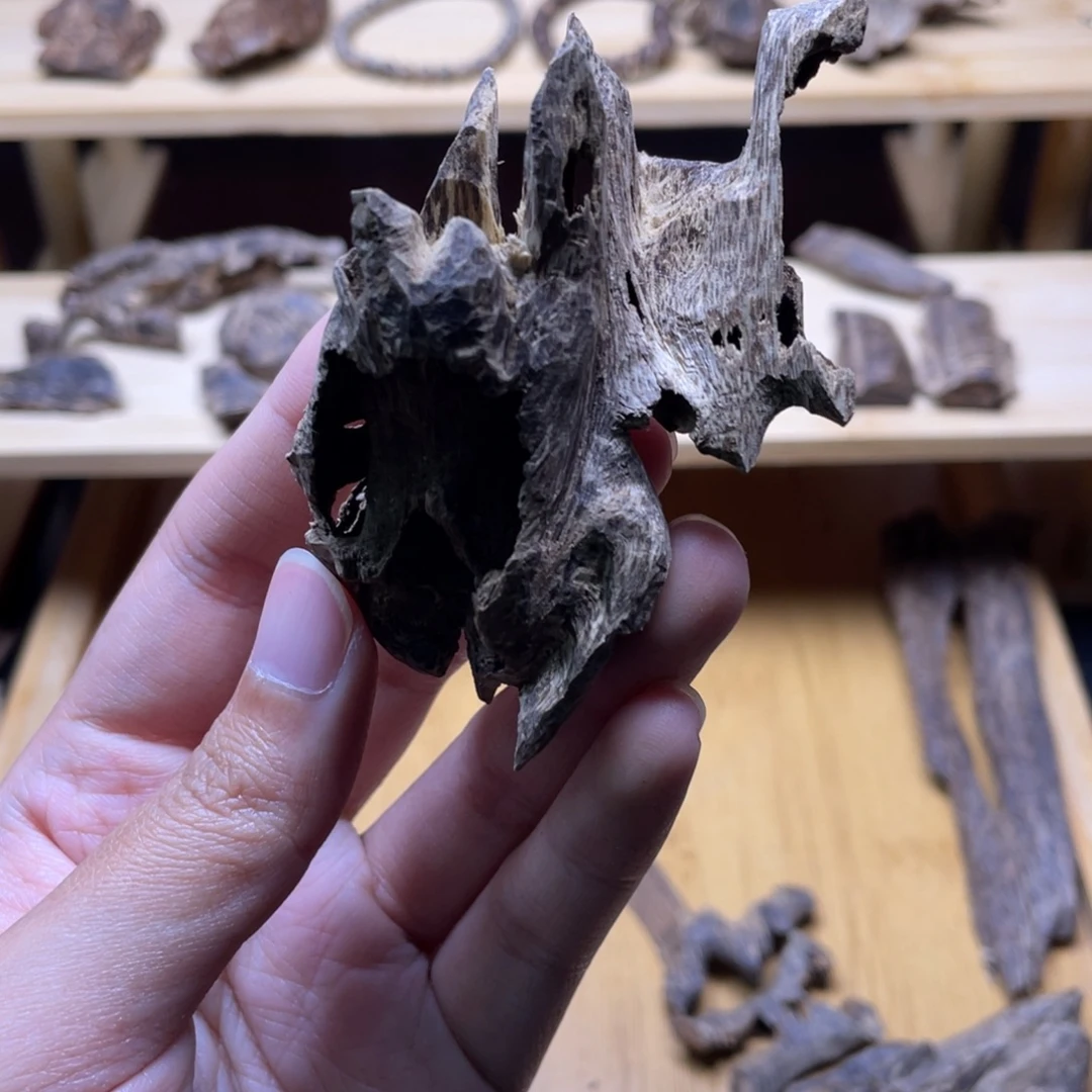 9.2克海南大山淳化老野料