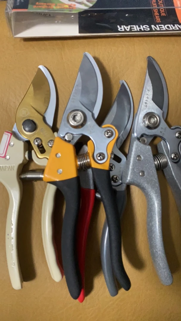 外贸全新工具树枝剪剪枝