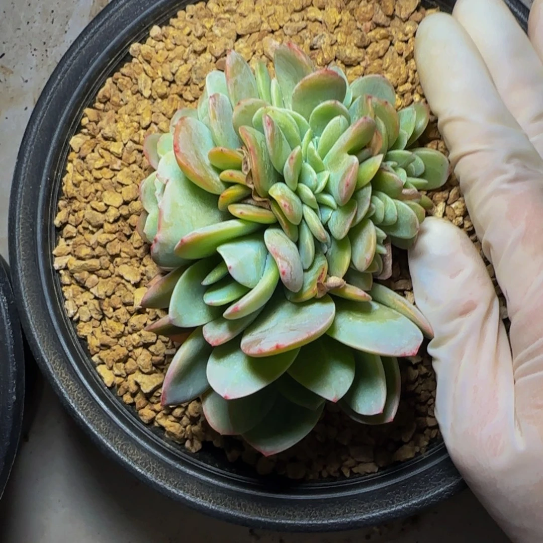 k k k k k k k k k 9