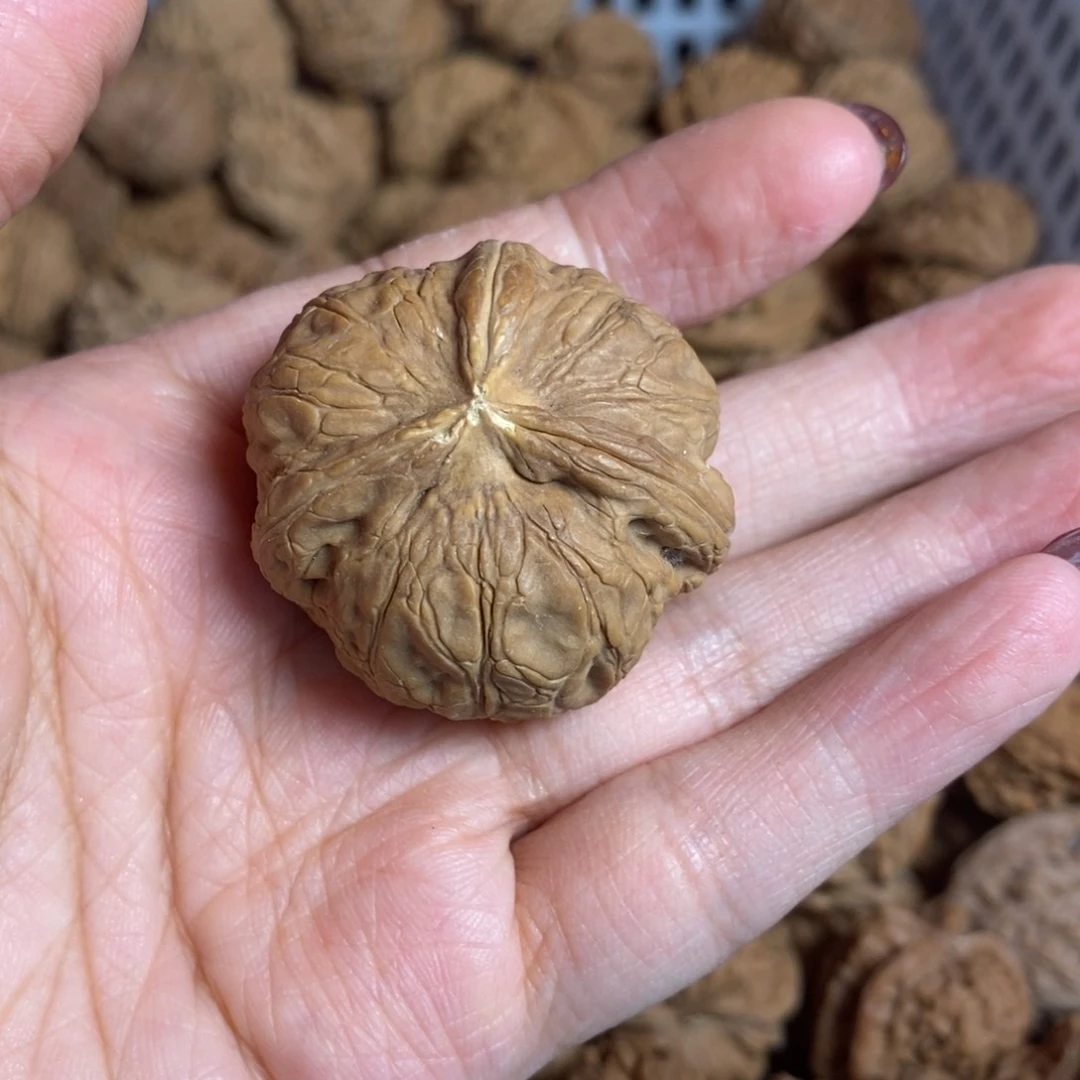 o***哥文玩核桃把件文玩