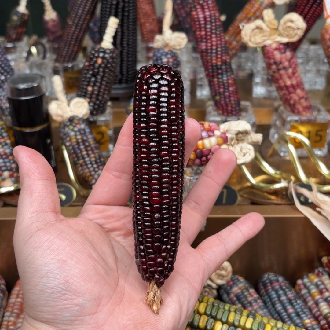 柏香籽/百香籽吊坠旺***头