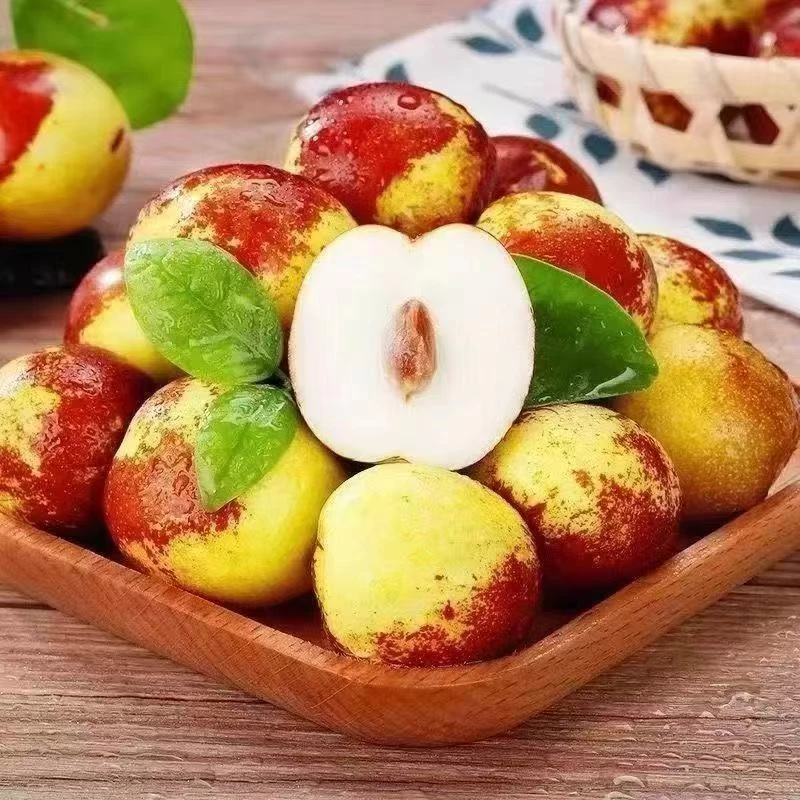 优质一级新鲜现摘冬枣（5斤大果）