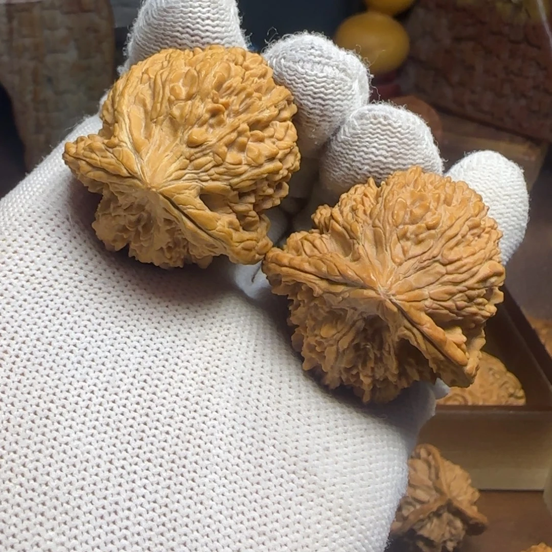 把件文玩核桃龟背满天星