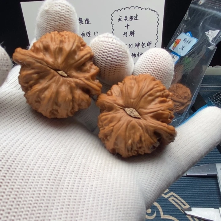 手把件核桃白狮子37尺