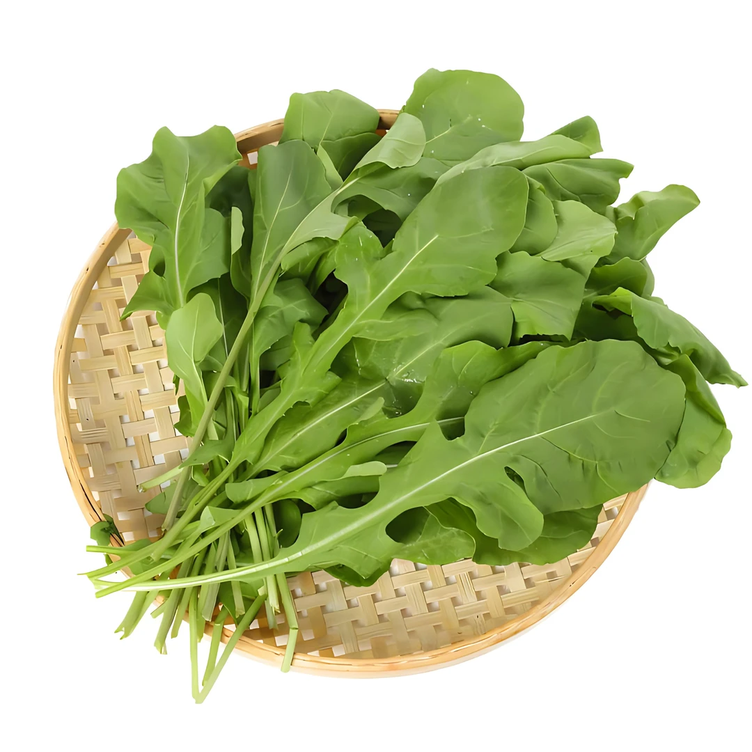 臭菜        100g豌豆尖