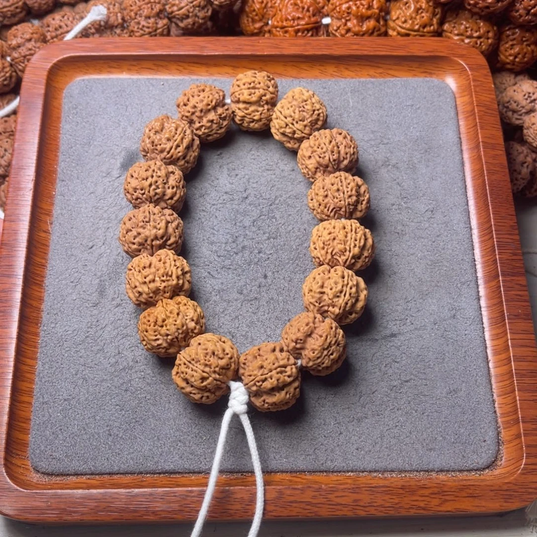 菩提11号金刚菩提深沟梅花22