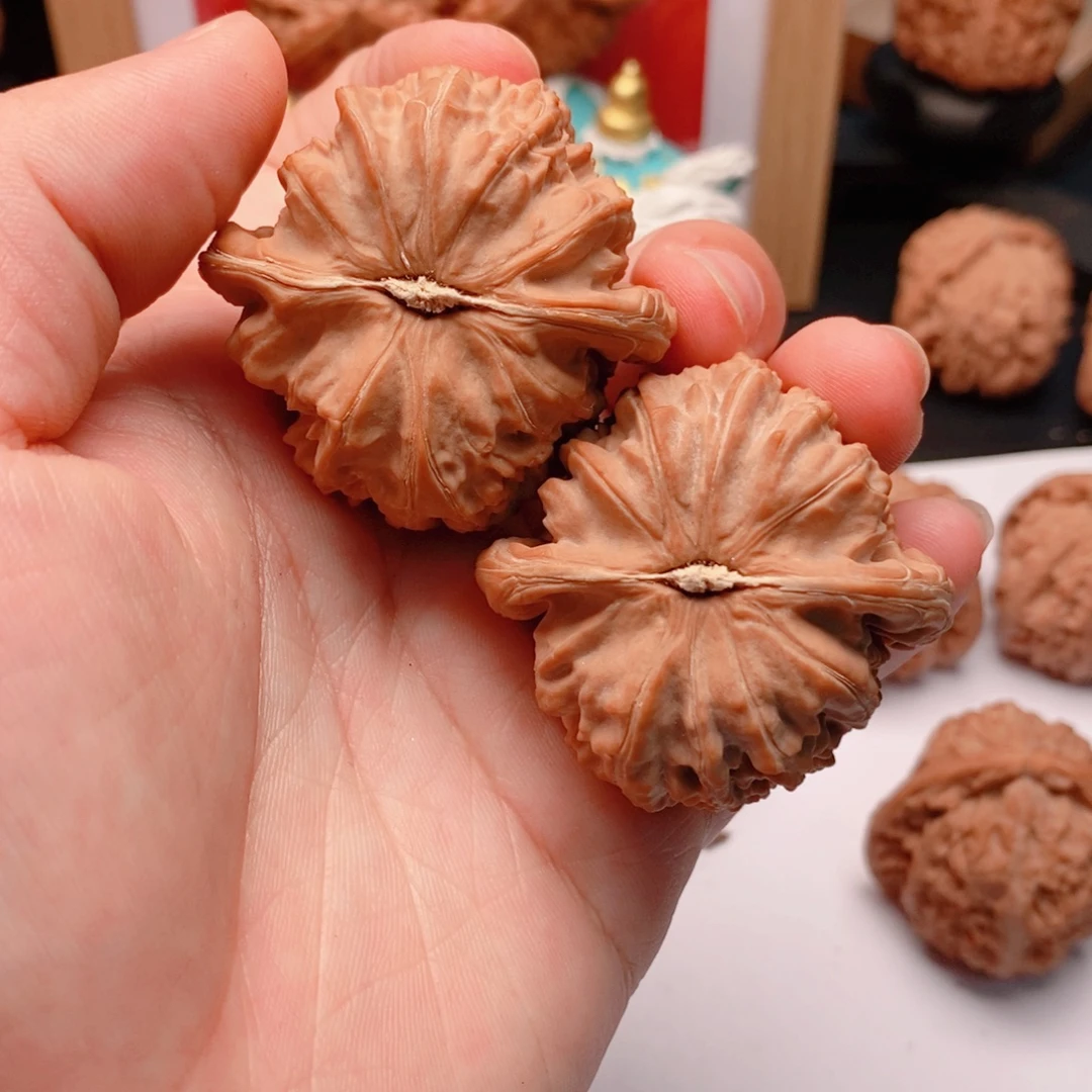 风***起42尺精品三角白全品A437