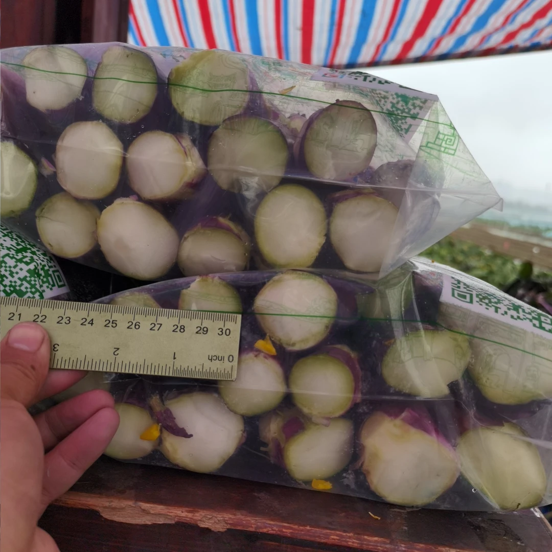 （京东包邮）洪山区省农科院普通包装 当天摘当天发货  洪山菜苔