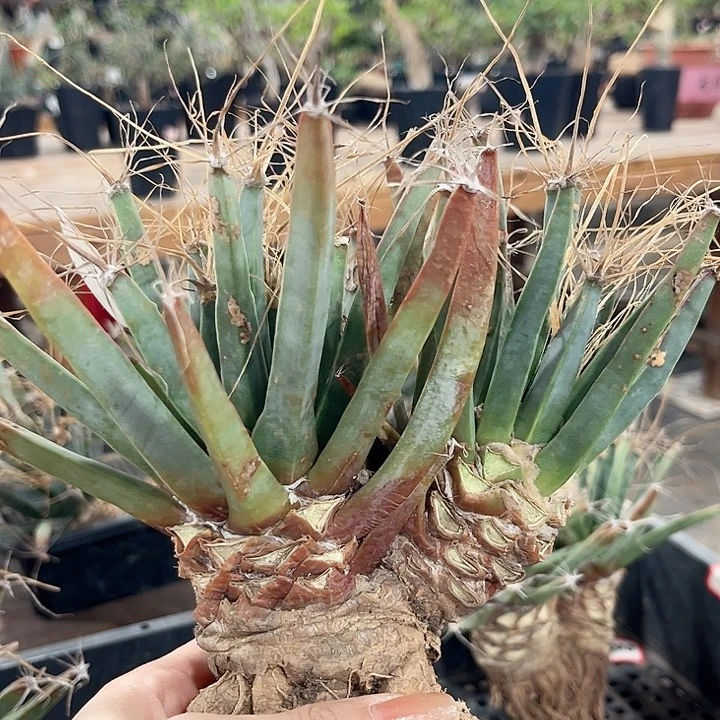 394光山哈哈哈哈哈哈哈