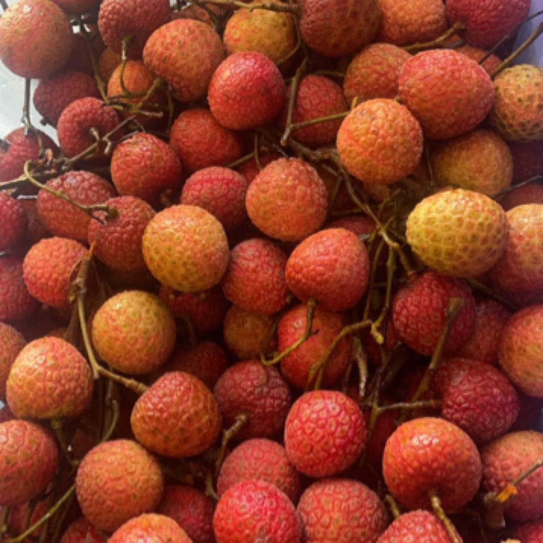 荔枝 妃子笑 一件7斤荔枝同城送重庆市