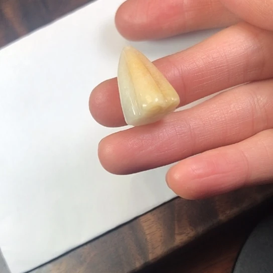翡翠未镶嵌颈饰缅甸A货，每天下午1点半开播