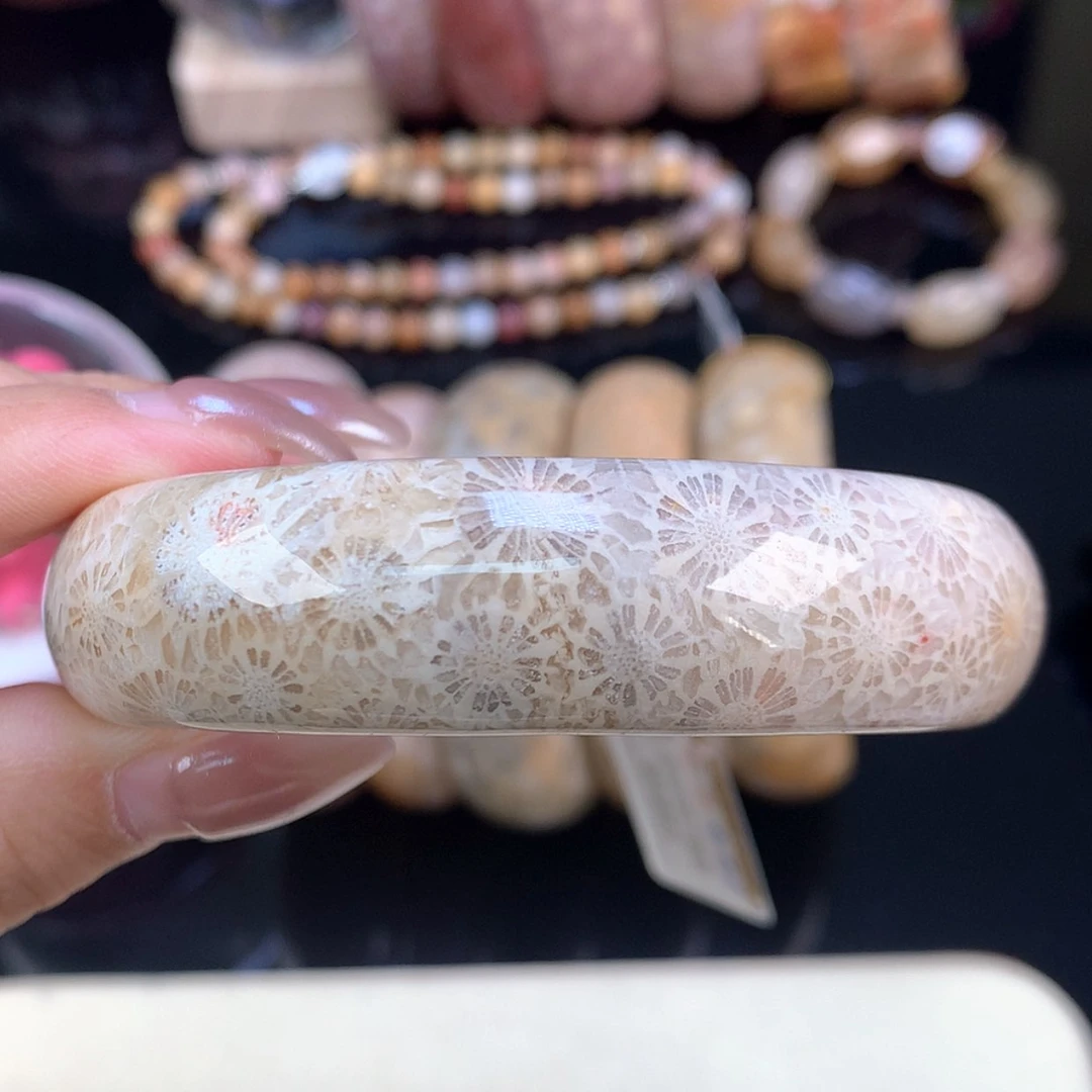 【闪购商品】颈饰未镶嵌硅化珊瑚（珊瑚玉）清晰大赞比59.8（45号）