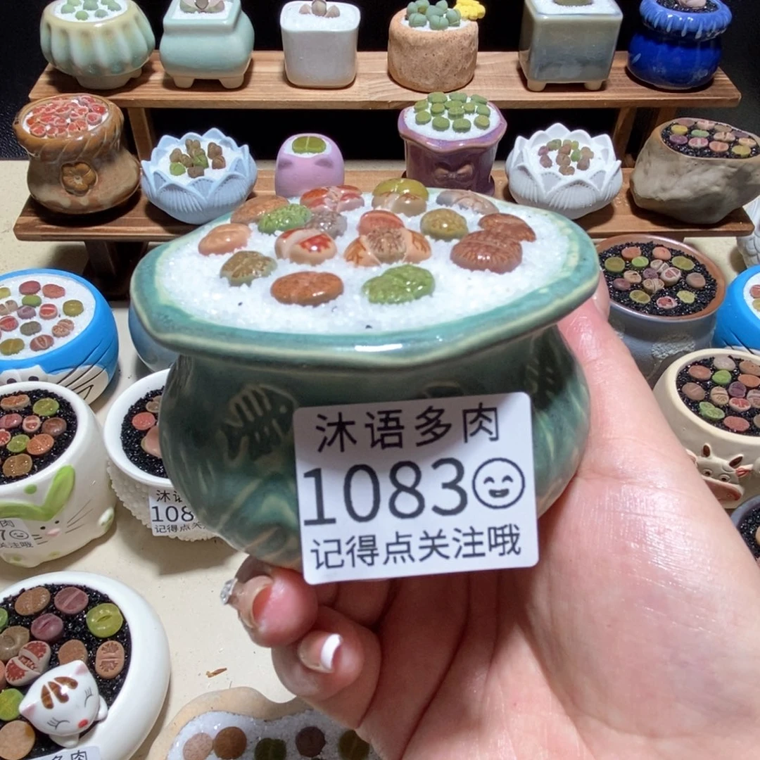 所见即所得 一物一拍1083