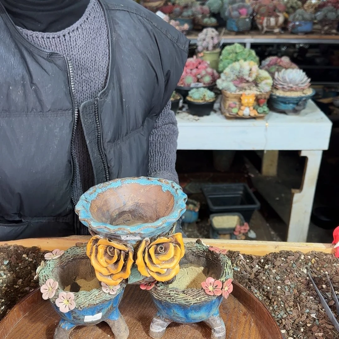 梅****h梅兰竹菊，盆3个98    瑕盆