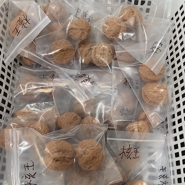 吊坠文玩核桃核王瑕疵