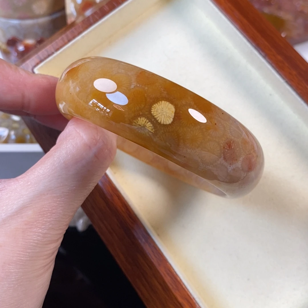 硅化珊瑚（珊瑚玉）未镶嵌手镯57.4口800