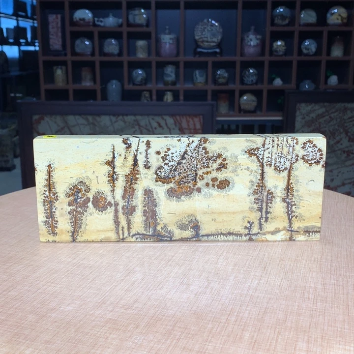 ，广西国画石摆件，收藏观赏