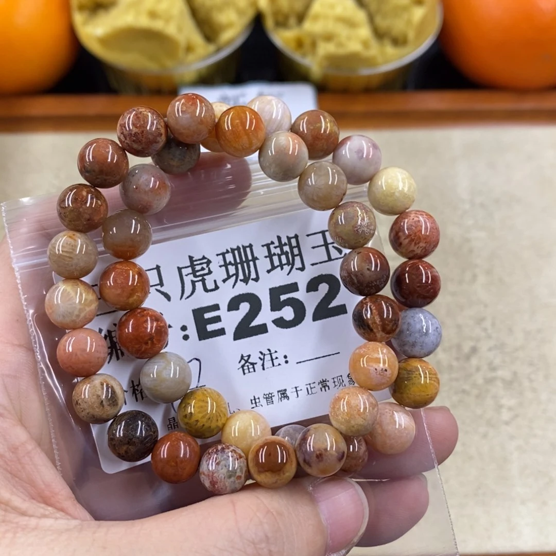 硅化珊瑚（珊瑚玉）1未镶嵌青*