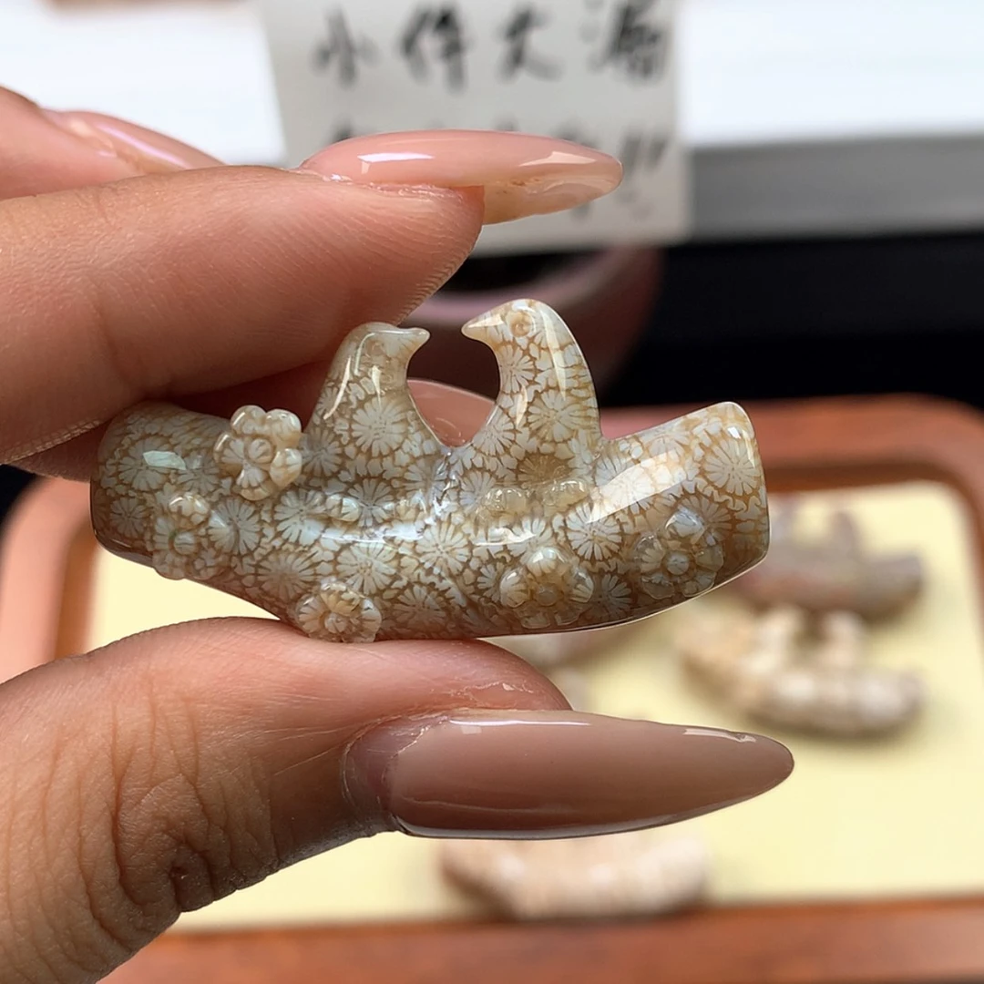【闪购商品】颈饰未镶嵌硅化珊瑚（珊瑚玉）彩*